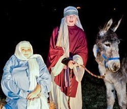 Live Animal Nativity